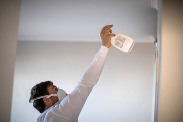 Best Crawl Space Mold Removal  in Alamosa East, CO