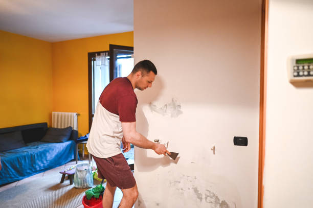 Mold Removal Process in Alamosa East, CO
